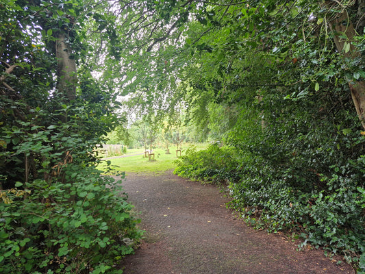 The Simple Power of a Walk Without Earphones (And Why It’s Harder Than You Think)